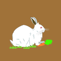 卯年の兎（ウサギ）のイラスト